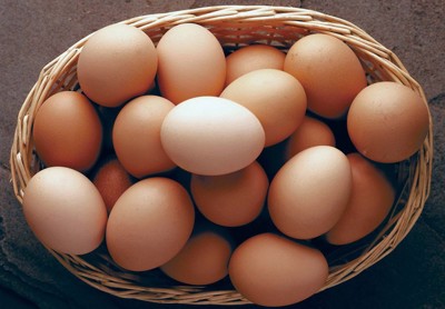 Trứng có nên ăn khi hỗ trợ điều trị vảy nến